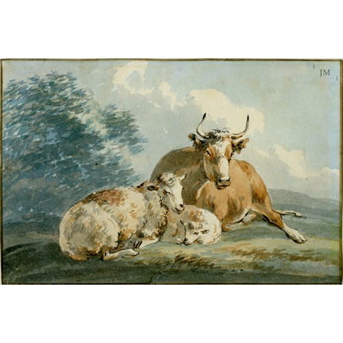 Study of sheep and a cow